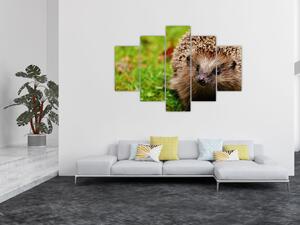 Tablou cu arici (150x105 cm)