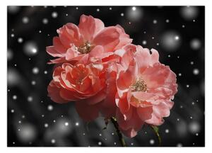 Tabloucu floare roz (70x50 cm)