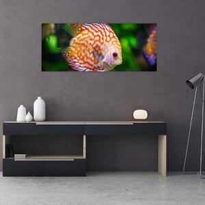 Tablou cu pește (120x50 cm)