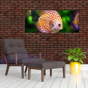 Tablou cu pește (120x50 cm)