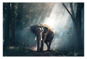 Tablou cu elefant în djunglă (90x60 cm)