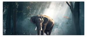 Tablou cu elefant în djunglă (120x50 cm)