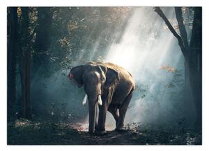 Tablou cu elefant în djunglă (70x50 cm)