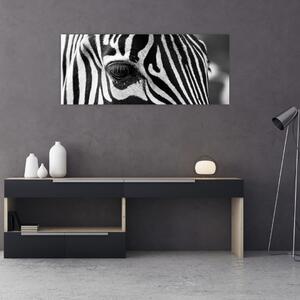 Tablou cu zebră (120x50 cm)