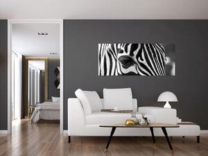 Tablou cu zebră (120x50 cm)