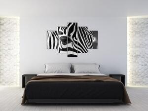 Tablou cu zebră (150x105 cm)