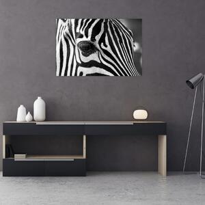 Tablou cu zebră (90x60 cm)