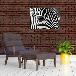 Tablou cu zebră (70x50 cm)