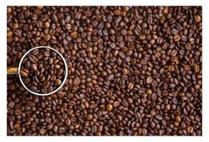 Tablou - boabe de cafea (90x60 cm)