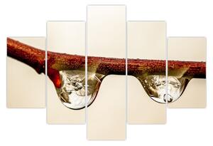 Tablou cu picături de apă pe creangă (150x105 cm)