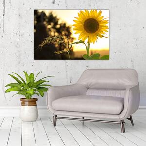 Tablou cu floarea soarelui (90x60 cm)