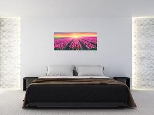 Tablou cu câmp de lalele cu soare (120x50 cm)