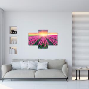 Tablou cu câmp de lalele cu soare (90x60 cm)