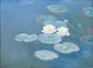 Monet, Claude - Artă imprimată Nuferi, (40 x 30 cm)
