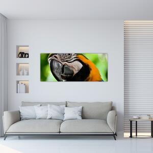 Tablou cu papagal (120x50 cm)
