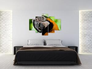 Tablou cu papagal (150x105 cm)