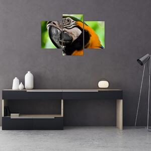 Tablou cu papagal (90x60 cm)