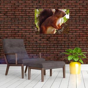 Tablou cu veverița (70x50 cm)