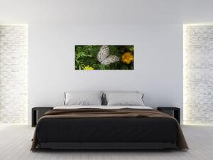 Tablou - fluture alb (120x50 cm)
