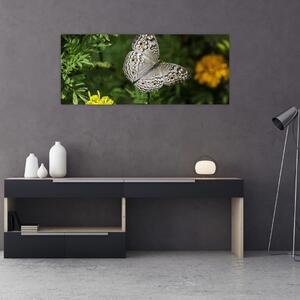 Tablou - fluture alb (120x50 cm)