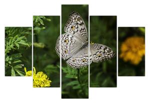 Tablou - fluture alb (150x105 cm)