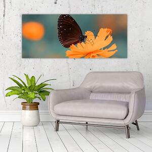 Tablou - fluture pe o floare portocalie (120x50 cm)