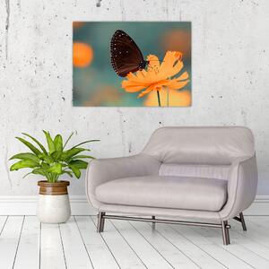 Tablou - fluture pe o floare portocalie (70x50 cm)