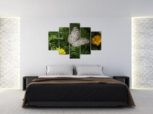 Tablou - fluture alb (150x105 cm)