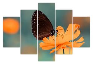 Tablou - fluture pe o floare portocalie (150x105 cm)