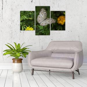 Tablou - fluture alb (90x60 cm)