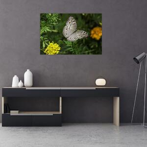 Tablou - fluture alb (90x60 cm)