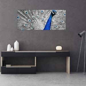 Tablou - păun albastru (120x50 cm)
