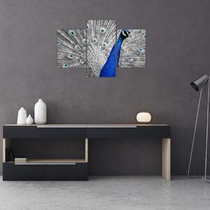 Tablou - păun albastru (90x60 cm)