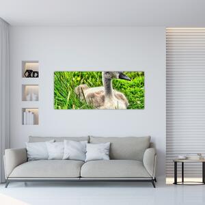 Tablou - lebădă mică în iarbă (120x50 cm)