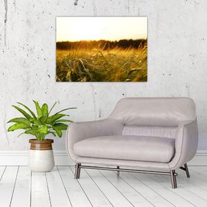 Tablou iarba cu rouă (70x50 cm)