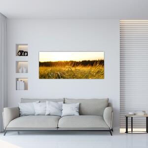 Tablou iarba cu rouă (120x50 cm)