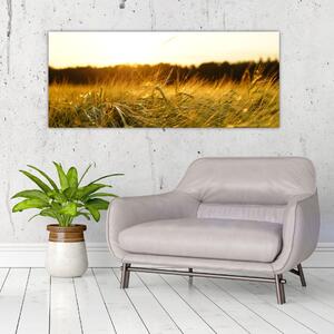 Tablou iarba cu rouă (120x50 cm)