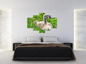 Tablou - lebădă mică în iarbă (150x105 cm)
