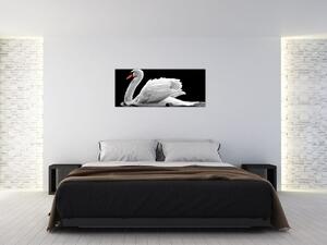 Tablou cu lebăda alb neagră (120x50 cm)