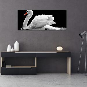 Tablou cu lebăda alb neagră (120x50 cm)