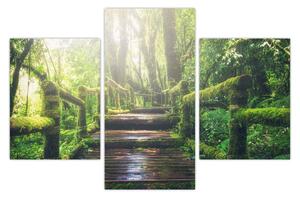 Tablou - trepte din lemn în pădure (90x60 cm)