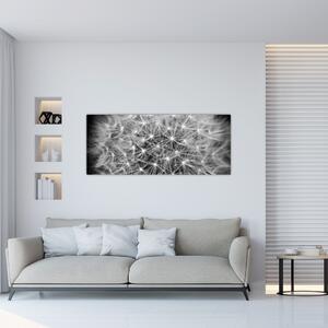 Tablou păpădie gri (120x50 cm)