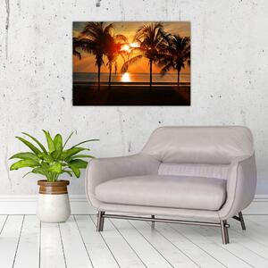 Tablou cu palmier în apus de soare (70x50 cm)