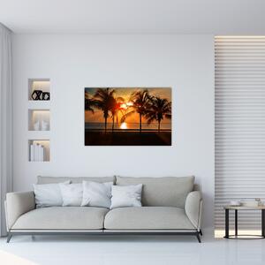 Tablou cu palmier în apus de soare (90x60 cm)