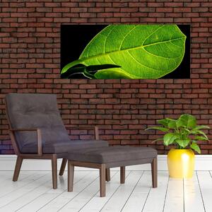Tablou - frunză verde (120x50 cm)