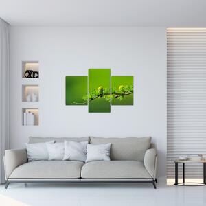 Tablou con verde (90x60 cm)