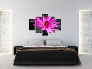 Tablou - floarea roz (150x105 cm)