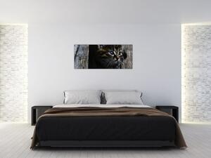 Tablou cu pisicuța (120x50 cm)