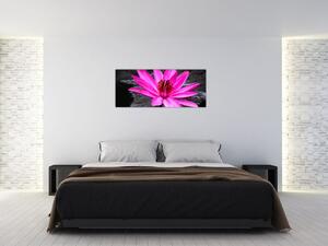 Tablou - floarea roz (120x50 cm)