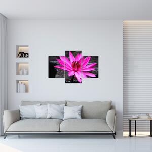 Tablou - floarea roz (90x60 cm)